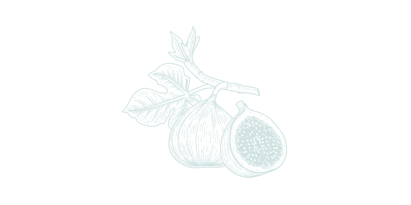 Fig Logo 1 Fig Logo 1